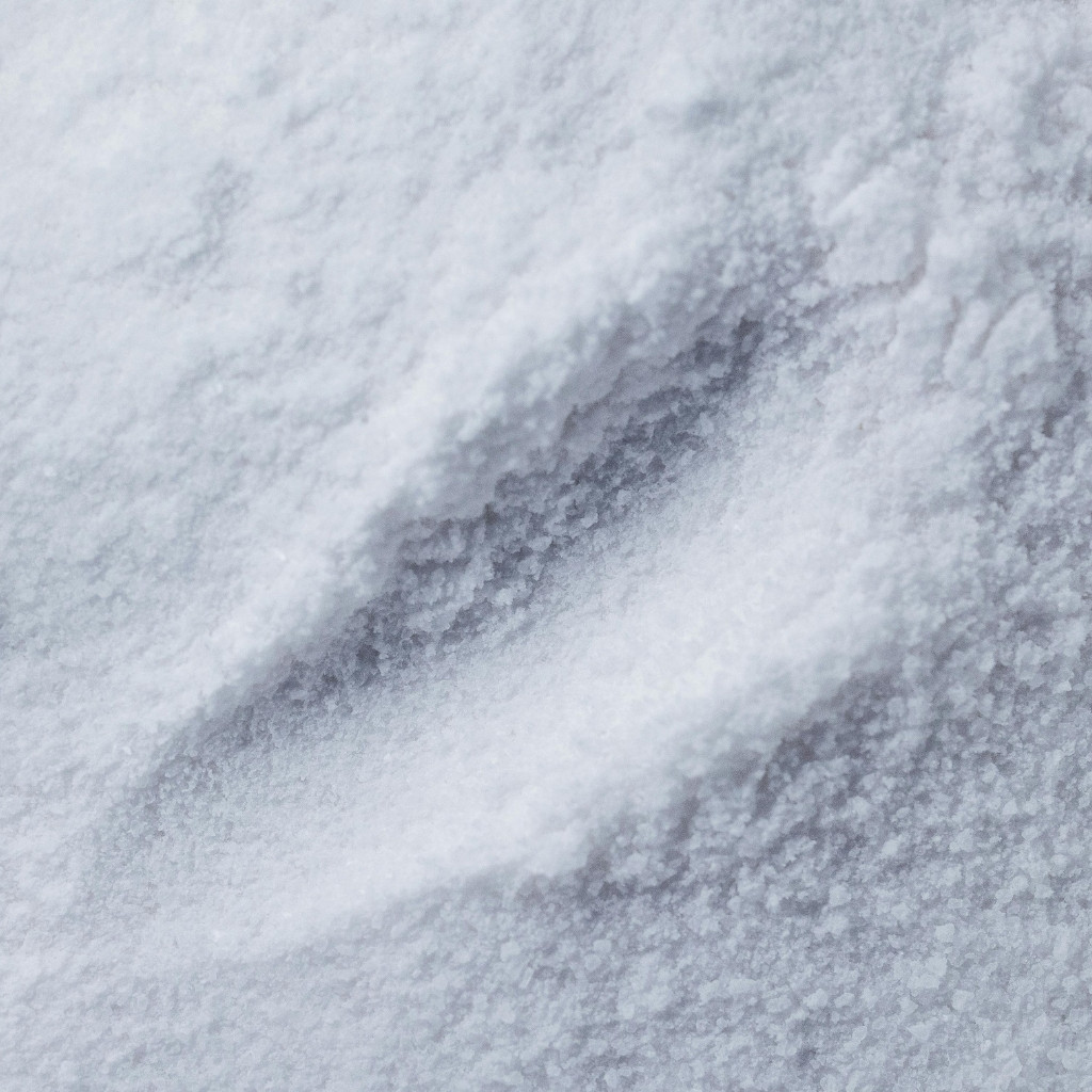 Auto Dishwash Powder