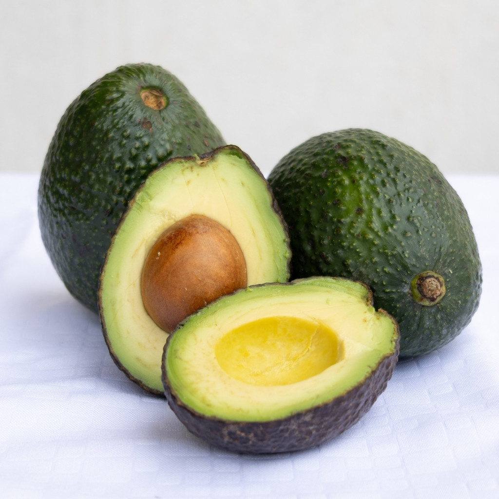 Avocado