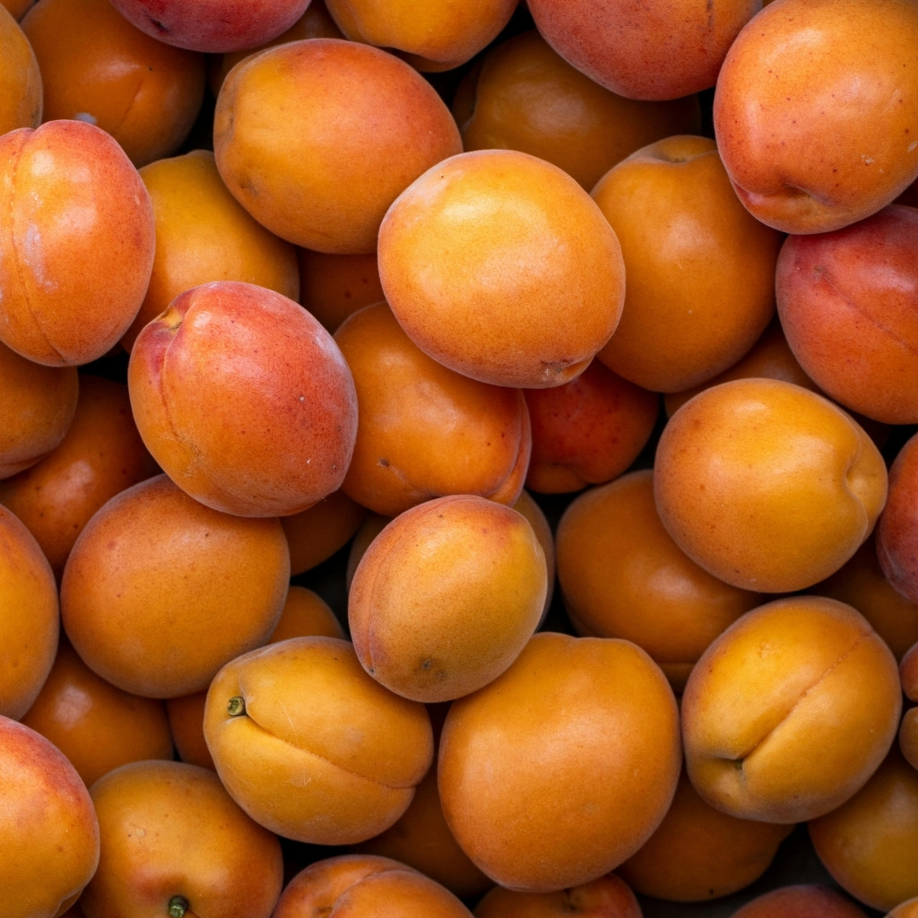 Apricot & Plums